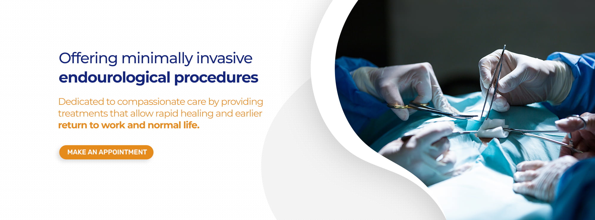 Dr. Shashanka Dhanuka